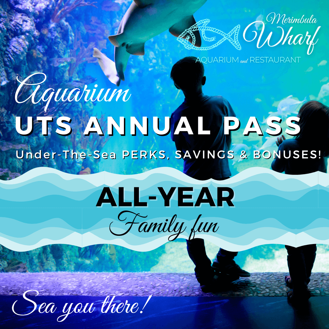 Advertisement for Merimbula Aquarium with text about a UTS annual pass for all year family fun, perks, savings and bonuses.